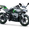 Kawasaki Siap Luncurkan Ninja EV Tahun Ini