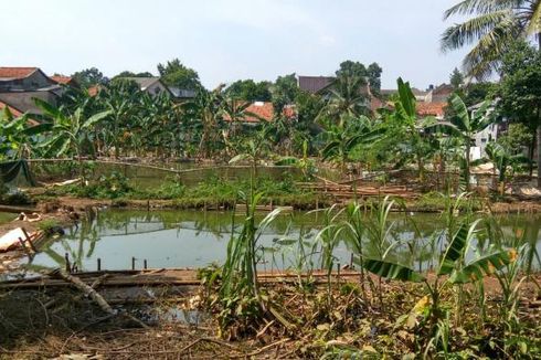 Antisipasi Banjir, DKI Akan Bangun Embung di Pondok Labu