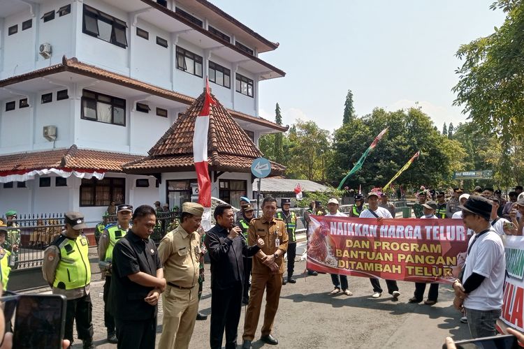 Peternak Ayam Pekalongan Menjerit: Harga Telur Anjlok, Pakan Mahal