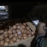 Jelang Natal Harga Telur di Semarang Naik hingga Rp 6.000, Omset Pedagang Berkurang