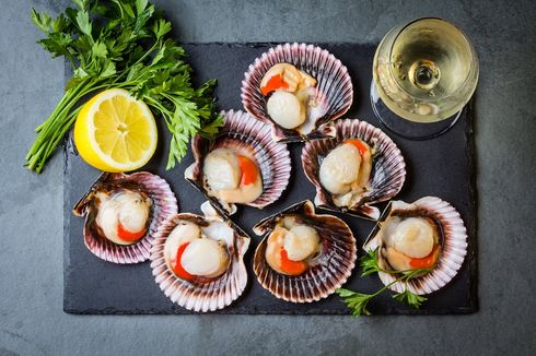 Cara Pilih Scallop atau Kerang Kampak yang Masih Segar 