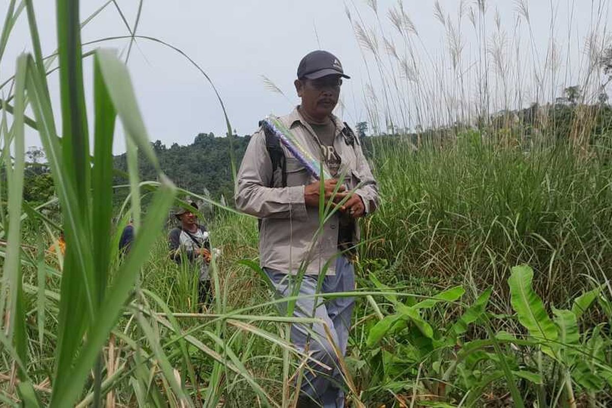Tim Balai Konservasi Sumberdaya Alam (BKSDA) Provinsi Aceh mengusir gajah liar ke luar kawasan perkebunan di Desa Alue Kajeung, Peurupok, dan Desa Ranto Serdang, Kecamatan Paya Bakong, Aceh Utara, Sabtu (2/9/2023)