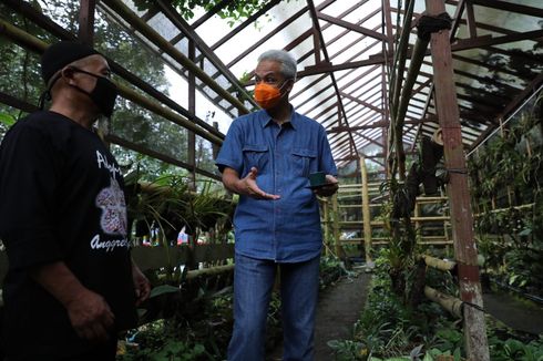 Peduli Spesies Endemik Merapi, Pria Ini Buka Kelas Adopsi Anggrek di Hutan