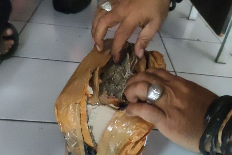 Barang bukti kasus narkotik jenis ganja yang dikirim melalui ekspedisi di Lombok Timur. Dua pelaku ditangkap pada waktu dan tempat berbeda.