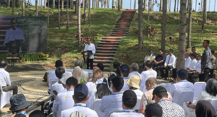 Jokowi Sebut Belum Ada Investasi Asing ke IKN, Otorita: Minatnya Tinggi tapi Tak Cepat Ambil Keputusan