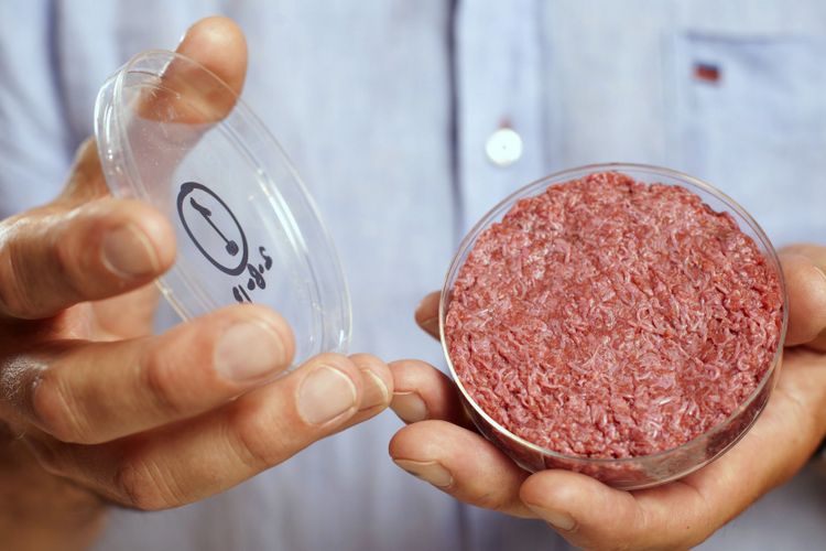 Daging ini dibuat dari 20.000 fiber otot yang ditumbuhkan dari sel punca.