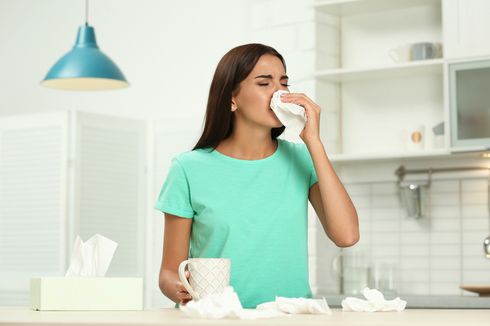 8 Cara Mengurangi Polusi Udara di Dalam Rumah