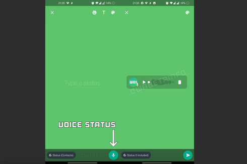 Fitur Terbaru WhatsApp, Status Pakai Pesan Suara hingga Berikan Reaksi pada Status