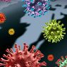 Satu Orang Terinfeksi Virus Corona Bisa Tulari 117.649 Orang