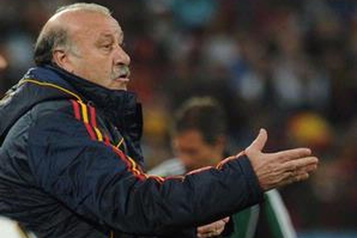 Pelatih Spanyol, Vicente del Bosque.