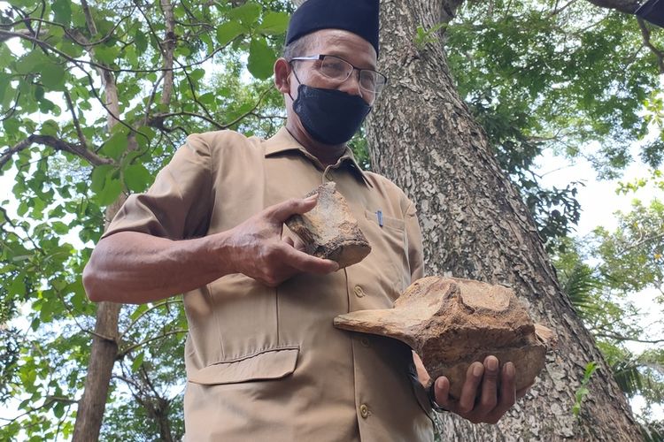 Guru olahraga di SMP Negeri 1 Panjatan, Kabupaten Kulon Progo, Daerah Istimewa Yogyakarta, menemukan batu yang diduga tulang purba. Ia menjadikan temuan itu sebagai kenangan-kenangan.