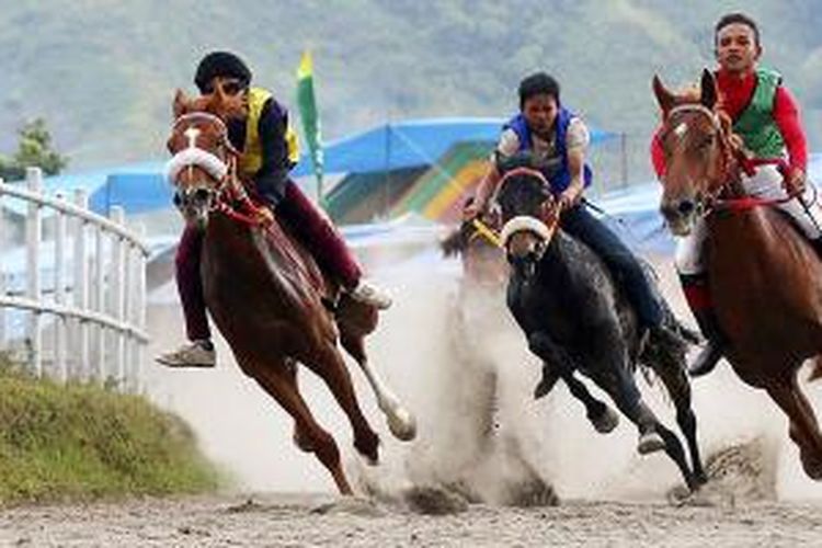 Aksi Joki dan kudanya dalam Lomba Pacuan Kuda Tradisional Gayo, 17-23 Agustus 2015 guna memeriahkan HUT ke-70 RI di Aceh Tengah, Provinsi Aceh.