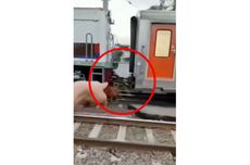 Polisi Tunggu Hasil Asesmen BNN Tentukan Rehabilitasi Onadio Leonardo