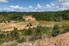 Alih Fungsi Hutan dan Pembukaan Lahan di Batam Dinilai Ancaman bagi Lingkungan Hidup