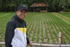 Golkar Jabar Bebaskan Dedi Mulyadi Mau Jadi Caleg dari Partainya atau Gerindra