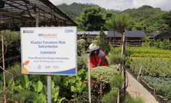 Perkuat Ekonomi Kerakyatan, BRI Berdayakan 41.217 Klaster Usaha melalui Pembiayaan dan Literasi Keuangan