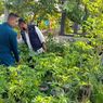 Warga Tambaksari Semarang Sulap Kawasan Rawan Rob untuk Tanam Sayur dan Buah, Warga Bisa Ambil Gratis