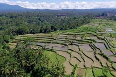 Punya Banyak Tanah Warisan, Keluarga Puri di Bali Diharapkan Tak Takut 