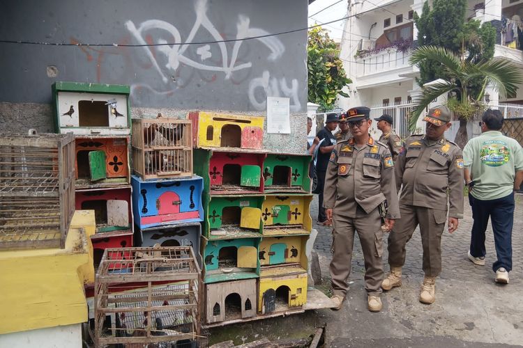 Puluhan Burung dan Kandang Disita di Jaktim, Bau Menyengat dan Kotoran Berserakan