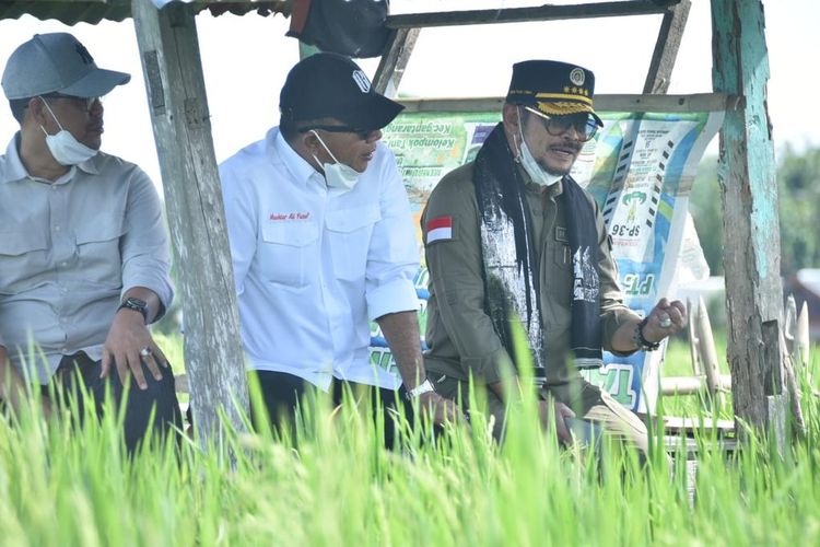 Menteri Pertanian (Mentan) Syahrul Yasin Limpo (SYL) saat mengunjungi hamparan lahan sawah pengembangan budi daya padi IP 400 di Desa Bialo, Kecamatan Gantarang, Bulukumba, Minggu (6/2/2022).
