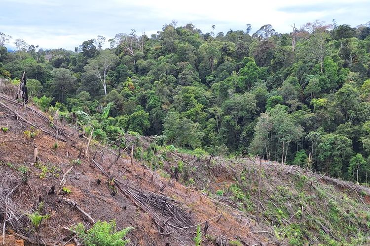Tanah Warga Tercatat sebagai Aset Negara, UU Reforma Agraria Buka Jalan Pemulihan Hak