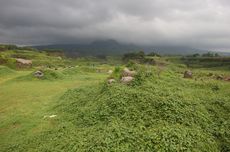 Pentingnya Padang Rumput dalam Pengendalian Perubahan Iklim