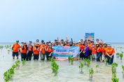 Geliat Ekonomi Biru di Pulau Pari, dari Penanaman 1.000 Mangrove hingga Literasi Keuangan Warga