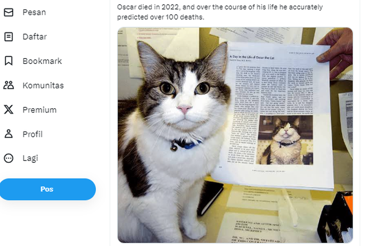 Tangkapan layar unggahan X yang memperlihatkan kucing bernama Oscar di sebuah panti jompo di Rhode Island. Kucing ini dipercaya dapat memprediksi seseorang yang akan meninggal dunia.