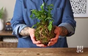 Membuat Kokedama, Seni Merangkai Tanaman Hias ala Jepang