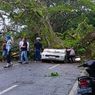Pohon Tumbang Timpa Mobil Avanza di Ambon, Pengemudi Tewas