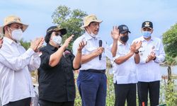 BRGM Siap Percepat Penanaman Mangrove di 9 Provinsi