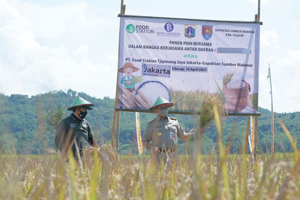 Gubernur DKI Jakarta Anies Baswedan menghadiri panen bersama di Kabupaten Cilacap, Jawa Tengah pada Jumat (16/4/2021).