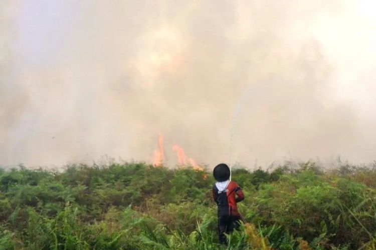 Enam Kecamatan di Aceh Barat Dilanda Karhutla, Meluas hingga 20,5 Hektare