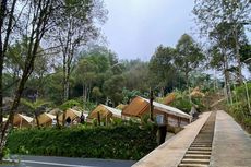 Panduan Lengkap Wisata ke Glamping Menoreh Yogyakarta