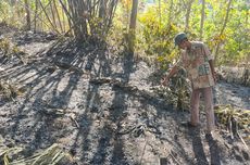 Lansia di Kulon Progo Diduga Meninggal Usai Membakar Daun Kering di Hutan 