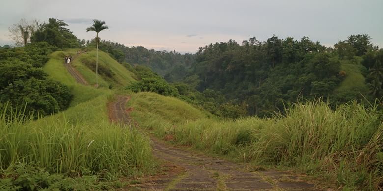 Campuhan, begitu nama bukit itu, disebut-sebut sebagai salah satu tempat paling fotogenik di Pulau Dewata.