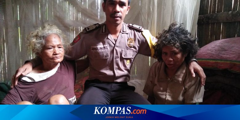 Apa Itu Demografi dan Bonus Demografi? - Vimarsana News