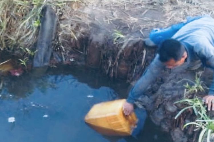 Kemarau dan Krisis Air Bersih Meluas, Warga Pulau Maya Kayong Utara Terpaksa Gunakan Air Parit