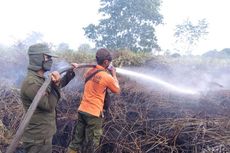 Awal 2020, Karhutla di Riau Hanguskan 1 Hektar Lahan Gambut