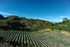 Mencoba Camping di Telaga Cebong