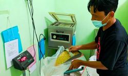 Siapkan Benih Unggul, Kementan Optimistis Penuhi Kebutuhan Kedelai Lokal dengan Cepat