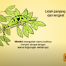 5 Ciri Khusus Hewan dan Habitatnya, Jawaban Soal TVRI 19 Agustus 2020