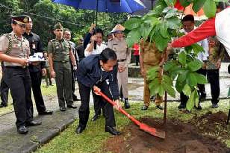 Presiden Joko Widodo dipayungi oleh Ibu Negara Iriana Jokowi, menanam pohon di sebuah lahan di pinggir jalan Kota Minahasa Utara, Selasa (18/10/2016). Foto : Agus Suparto/ Presidential Palace 