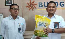 Bulog Cirebon Jamin Stok Beras Aman hingga Maret, Tersedia 5.480 Ton