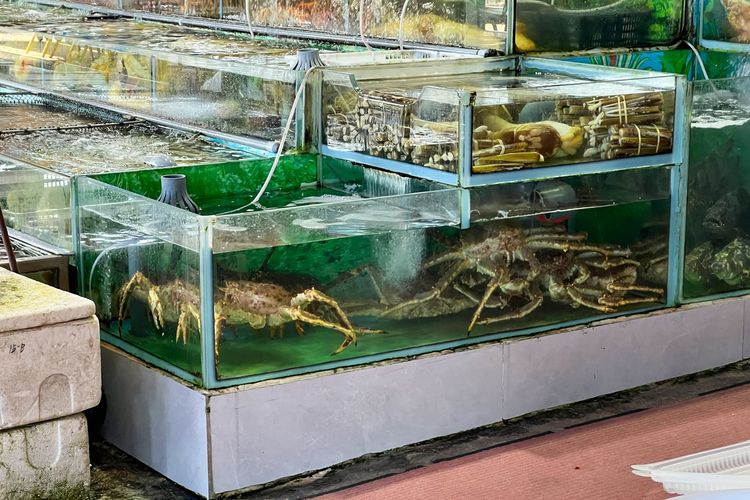 Ikan dan hewan laut yang dijual dalam keadaan hidup di Sai Kung Town, Hong Kong.