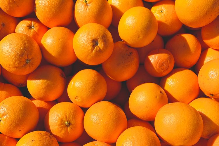 Ilustrasi buah jeruk