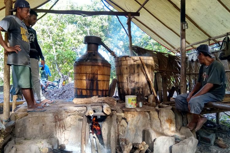 Warga Pulau Buru sedang memasak dan mengolah kayu putih menjadi minyak kayu putih. Pulau Buru dikenal sebagai daerah penghasil kayu putih terbaik di Indonesia.