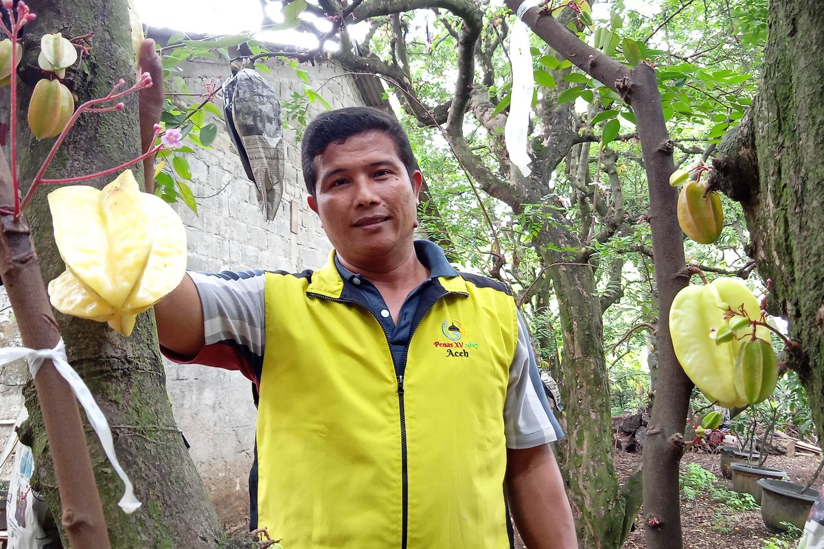 Nanang Yusuf, petani belimbing di Depok