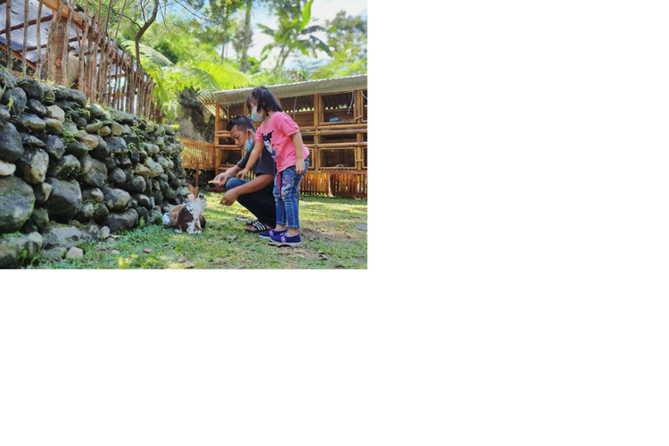 Foto : Mini Zoo Taman Kemuning Karanganyar, Tempat Wisata Swadaya ...