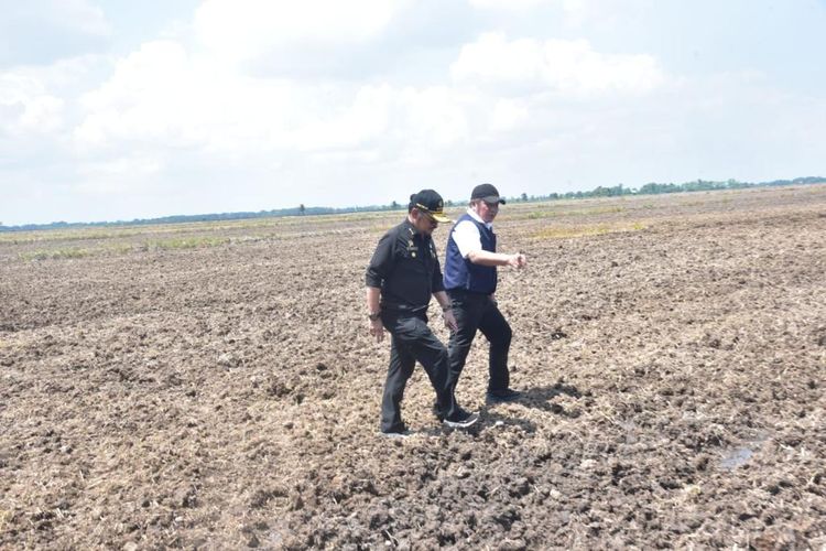 Gubernur Sumsel Herman Deru bersama Mentan SYL dalam acara tanam padi perdana Gerakan Nasional Tanam Padi El Nino di Desa Pelabuhan Dalam, Kabupaten Ogan Ilir, Sumsel, Senin (7/8/2023).